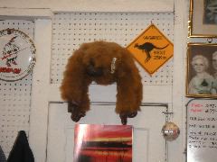 PICT0019.JPG