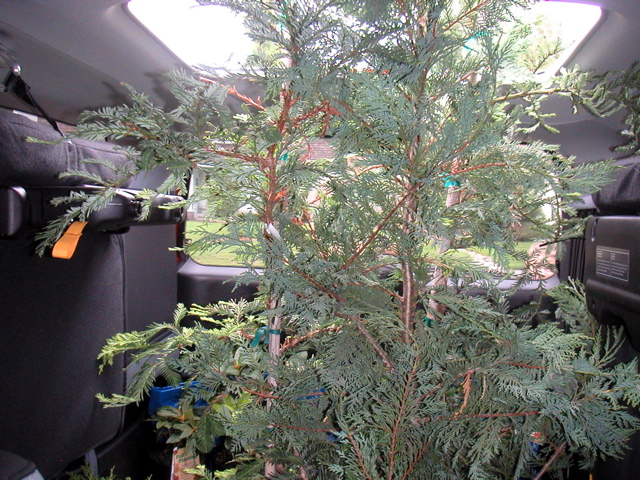 PICT0015.JPG