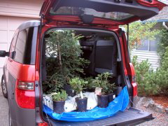 PICT0016.JPG
