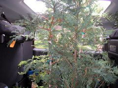 PICT0015.JPG