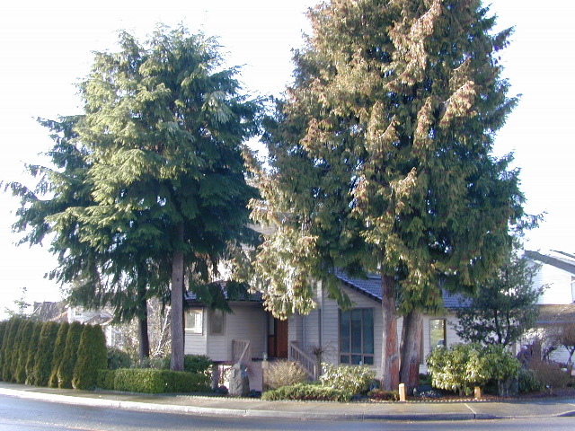 DSCN0801.JPG