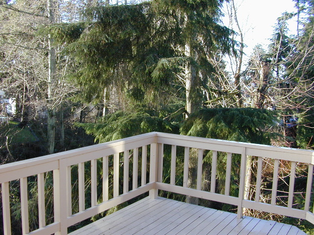 DSCN0820.JPG
