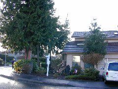 DSCN0800.JPG