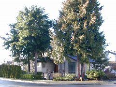 DSCN0801.JPG