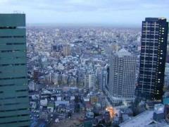 Tokyo At Dusk