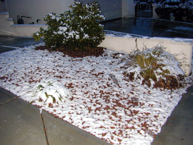 More lawn.